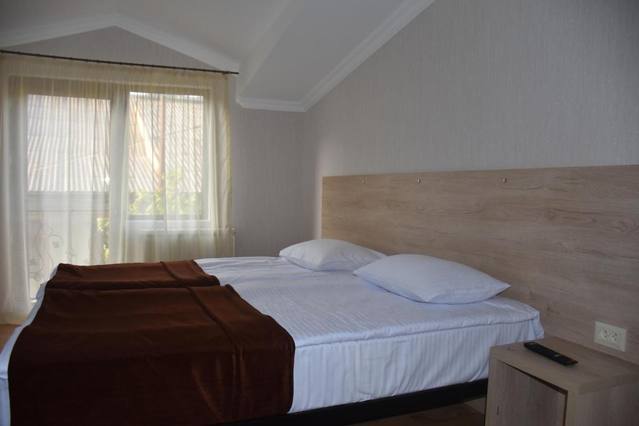 Eleana Villa Borjomi Bagian luar foto