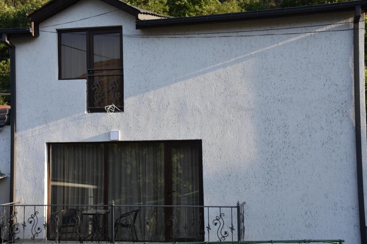 Eleana Villa Borjomi Bagian luar foto